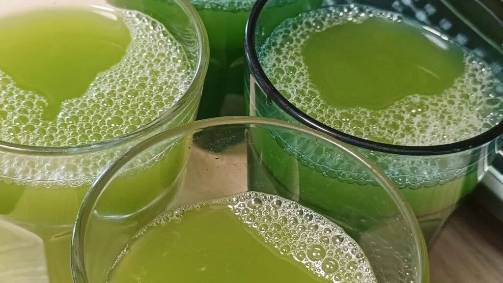 Freshly Juice Celery