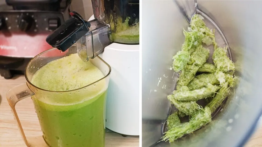 juicing celery stalks and dried celery pulp produced from juicer