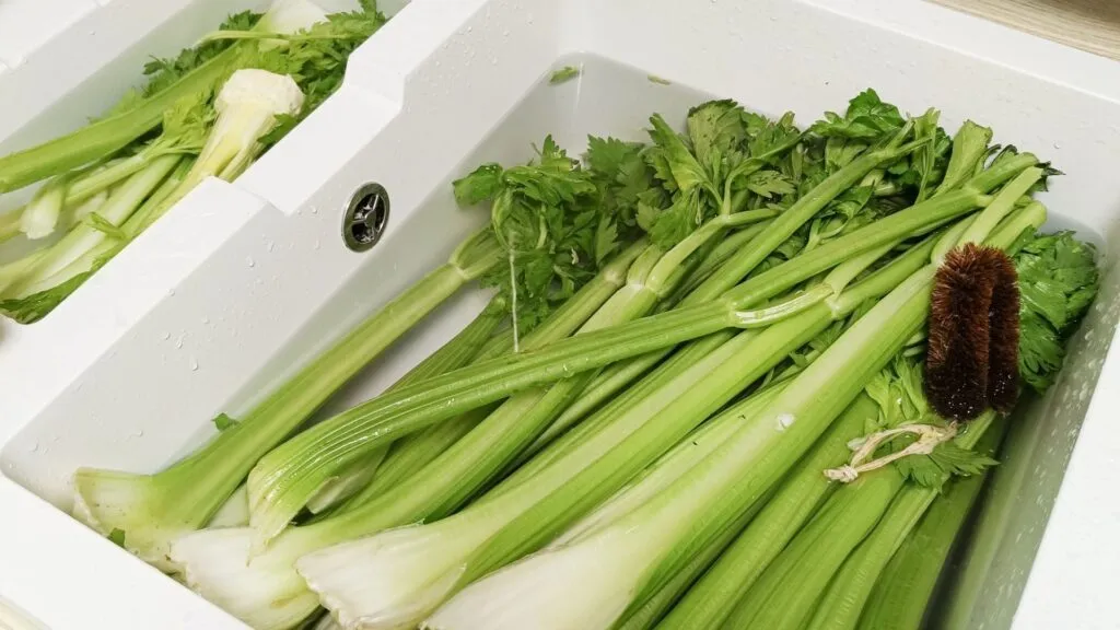 Rinsing celery in a sink helps to save water.