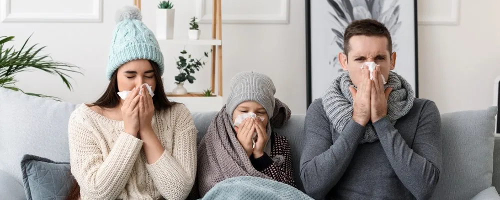 How to Boost Your Immune System