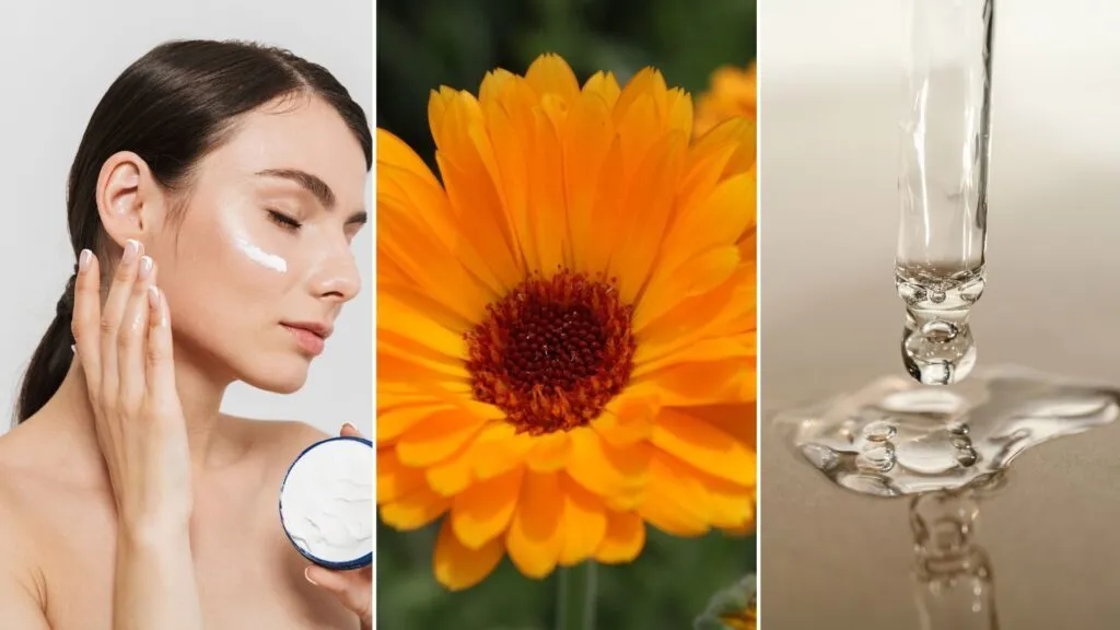 skincare. looking for specific ingredients in skincare products
