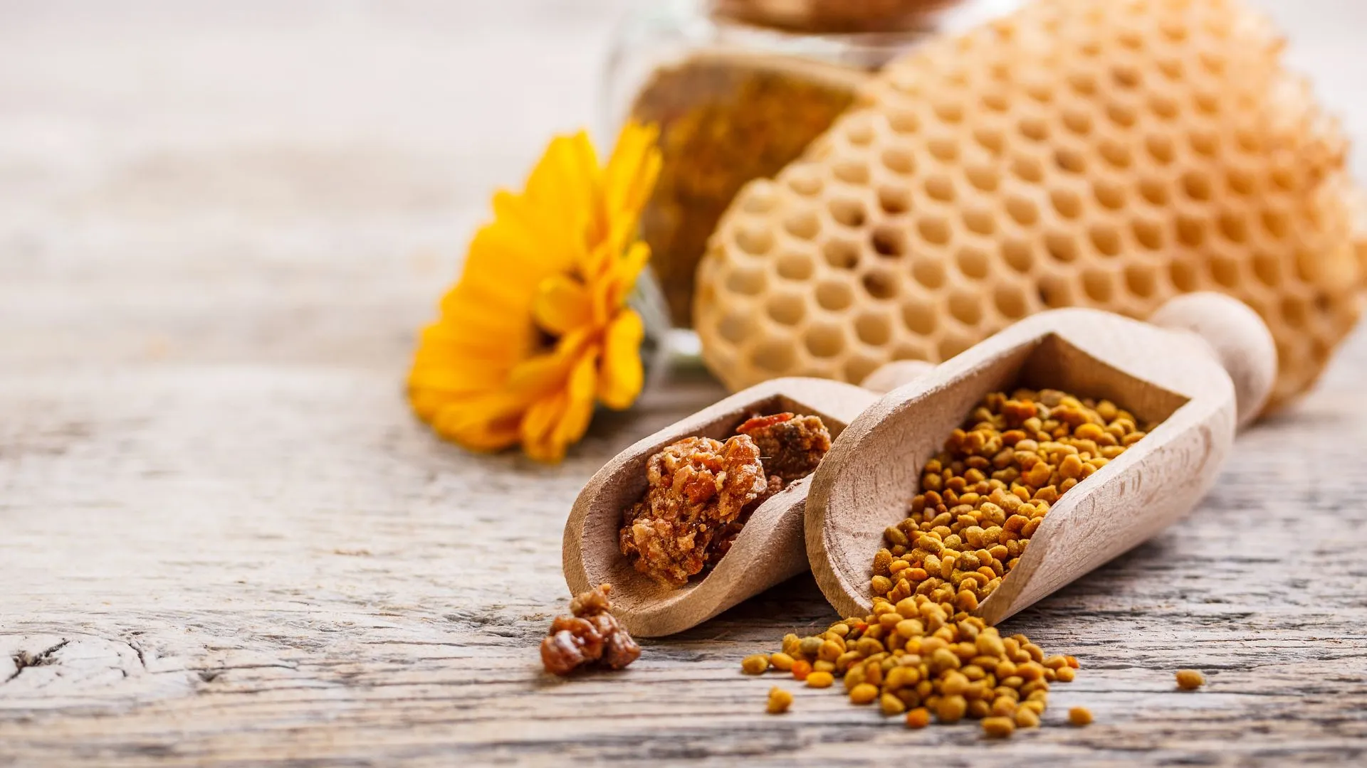 Propolis