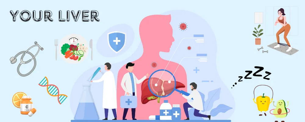 Your Liver & Its Health