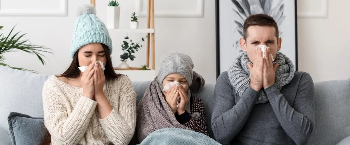 How to Boost Your Immune System