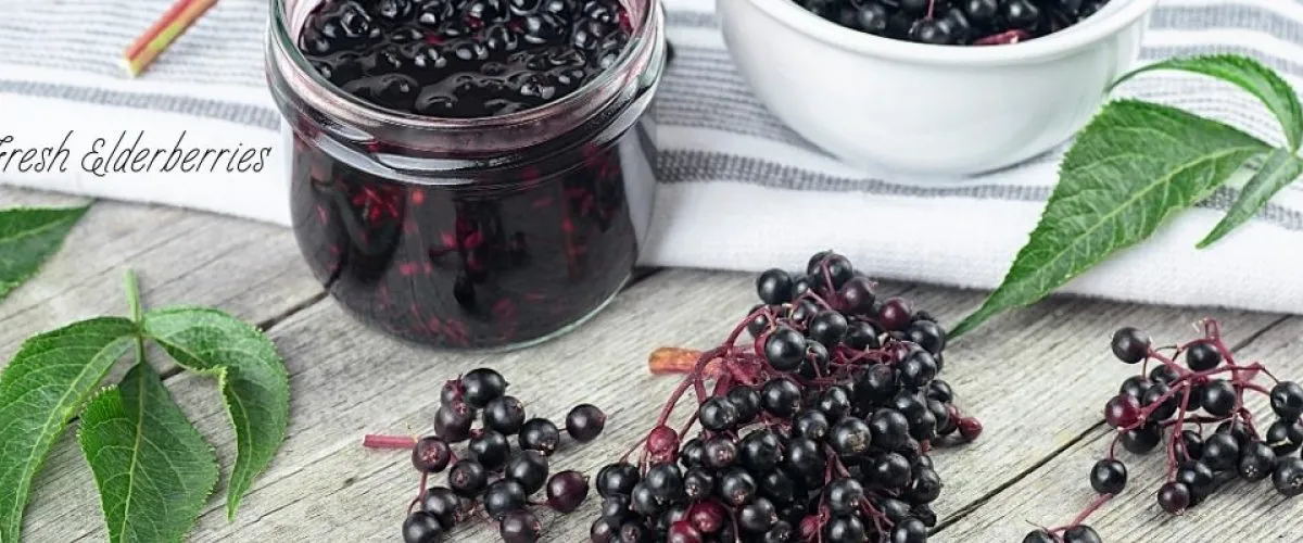 Fresh Elderberries aren't safe to eat, Elderberry Syrup