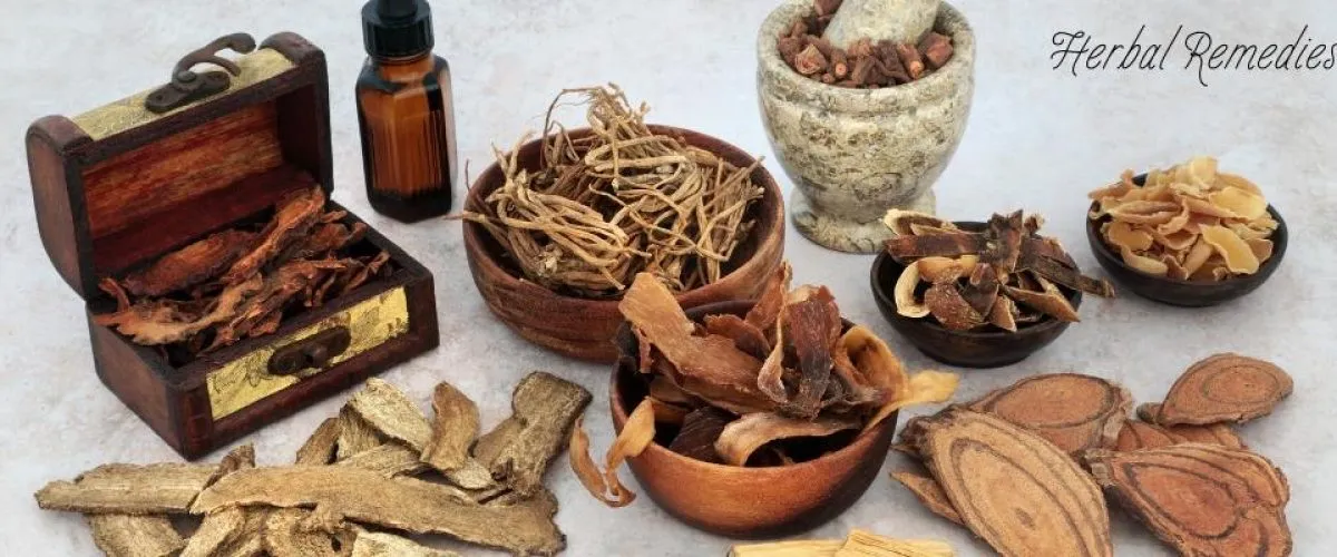 6 Herbal Supplements For Relief of Cold and Flu Symptoms