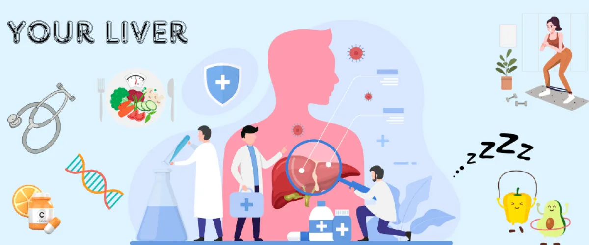 Your Liver & Its Health